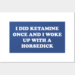 I did ketamine once and I woke up with a horsedick Posters and Art